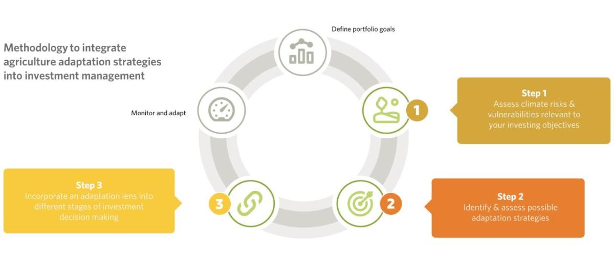 Methodology to integrate agriculture adaptation strategies into investment management. Source: TNC