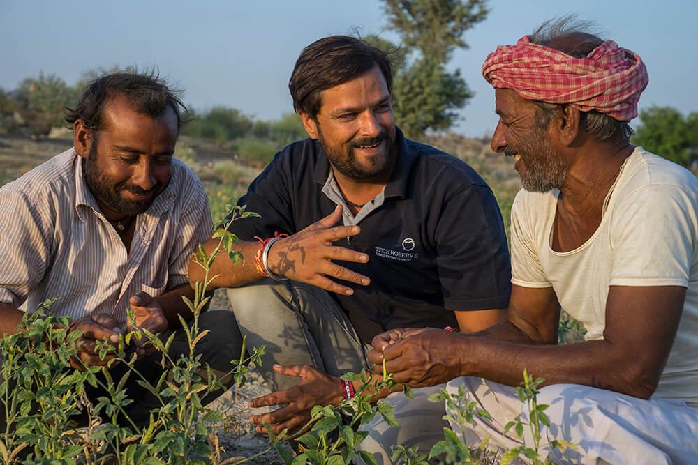 three people crouching next to a plant outside