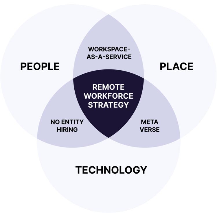 Diagram showing emerging workforce strategies