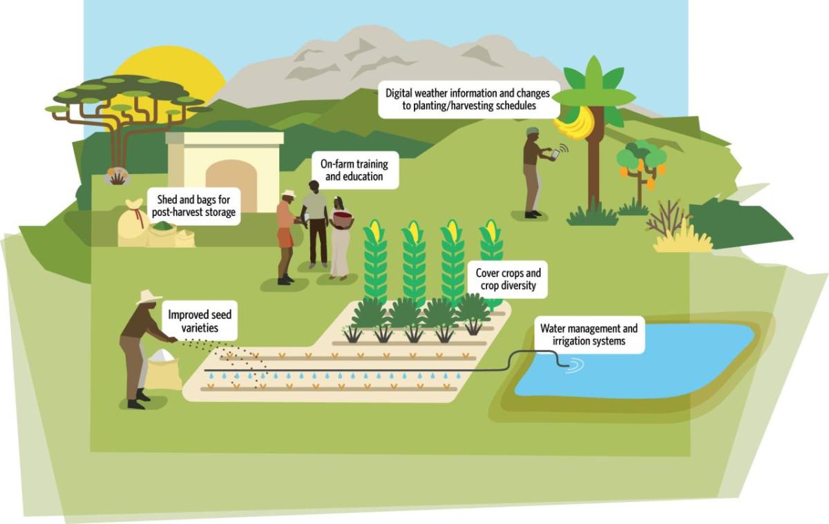 Conceptual diagram of on-farm adaptation strategies. Source: TNC 