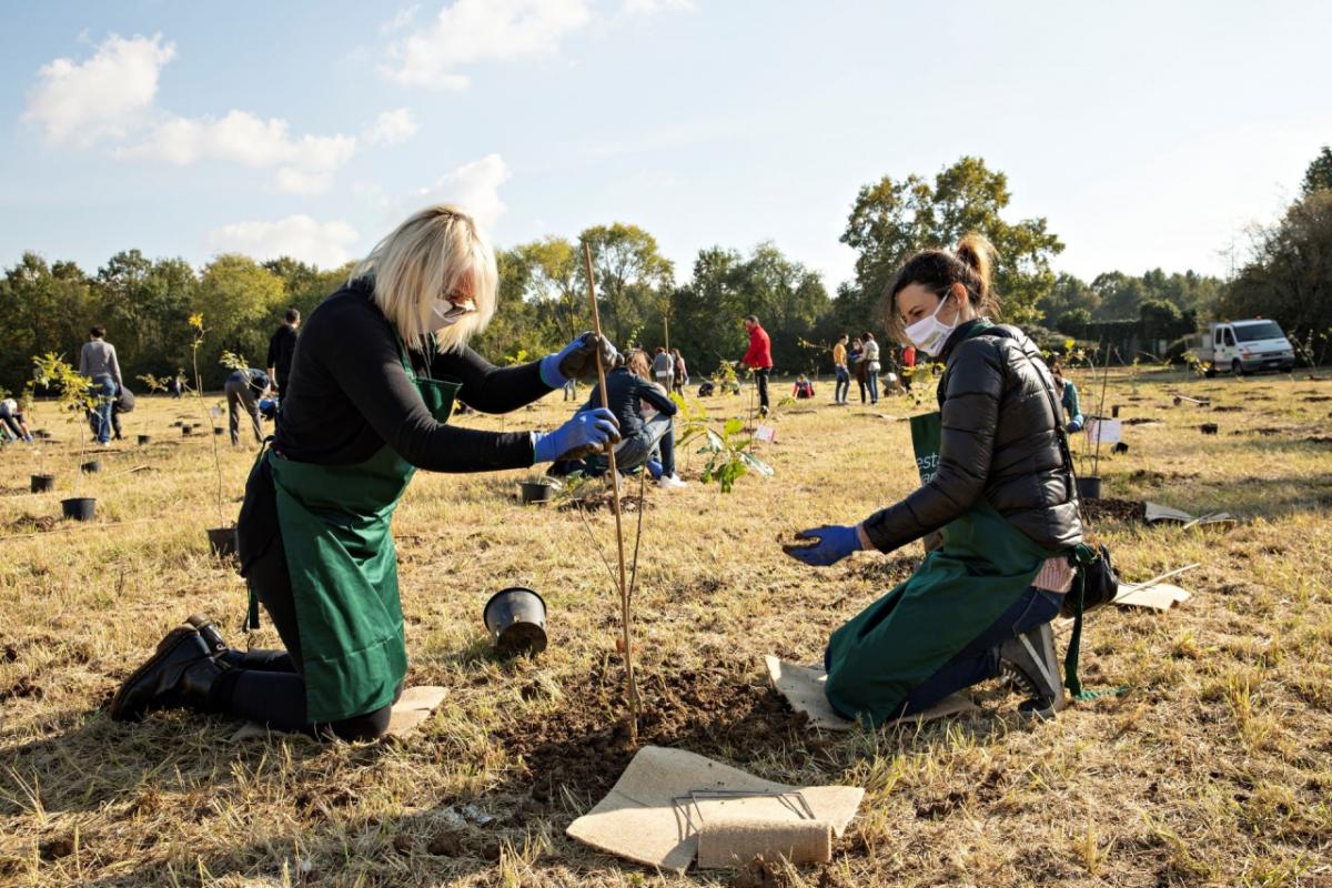 VMWARE ITALY EMPLOYEES PLANTING TREES.