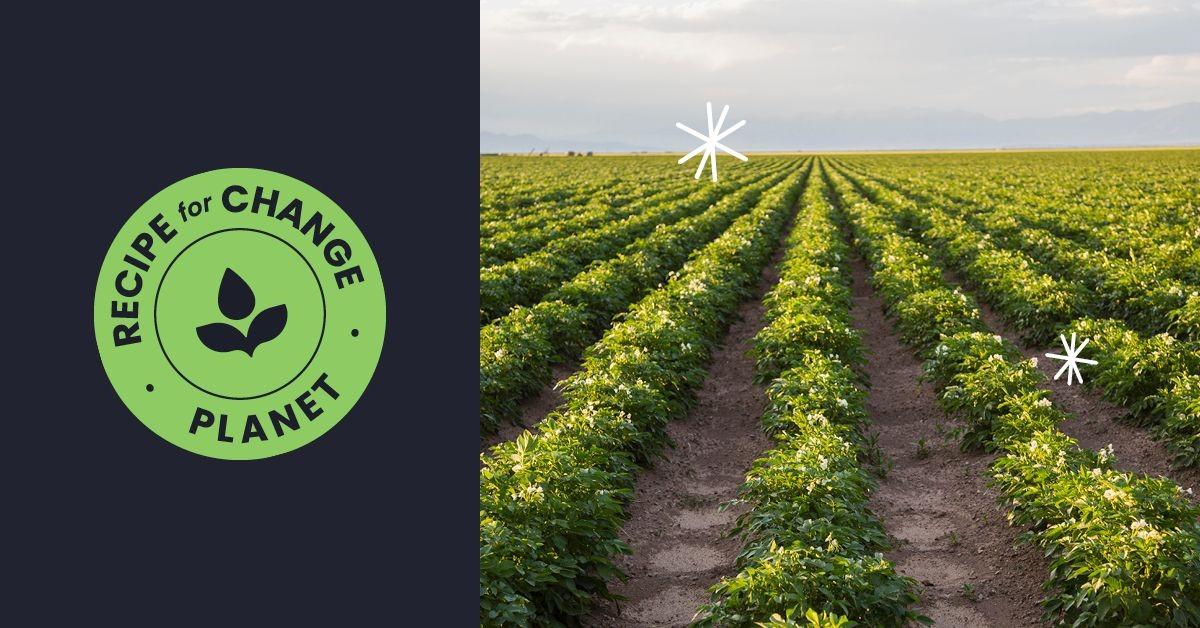 Albertsons' Recipe for Change Planet logo next to a picture of rows of crops.
