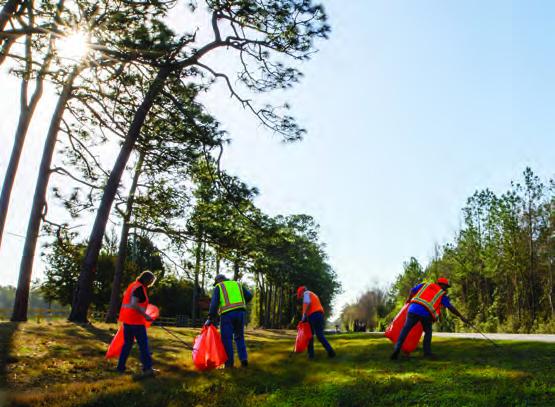 People cleaning up a grassy area