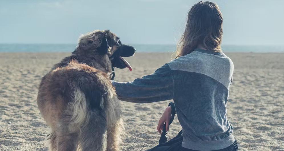 Person with dog on a beach