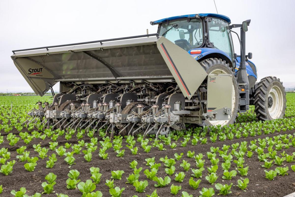 A tractor in a crop field