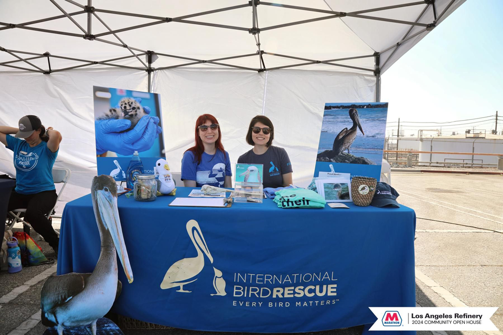 Two people sitting at a booth with a tablecloth that says "International Bird Rescue"