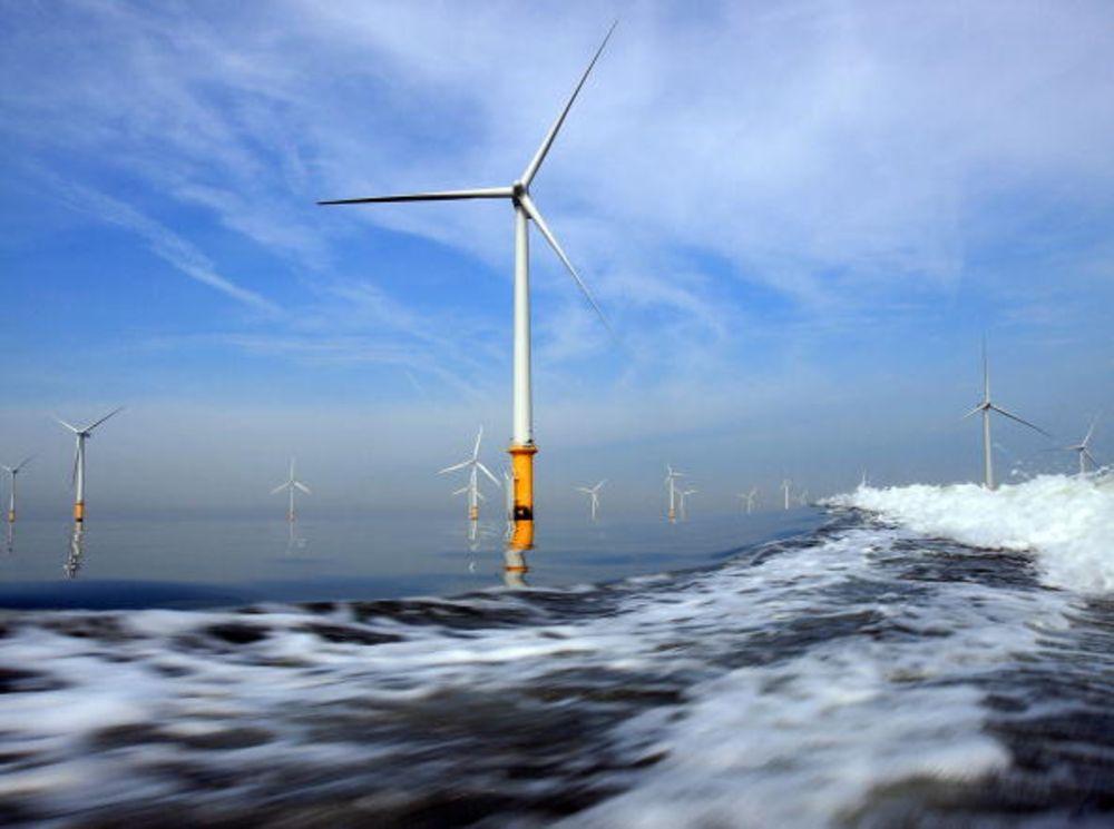 The future is green. Photographer: Christopher Furlong/Getty Images
