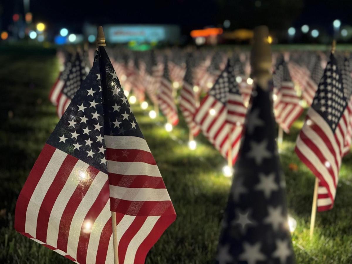 Field of Flags at night