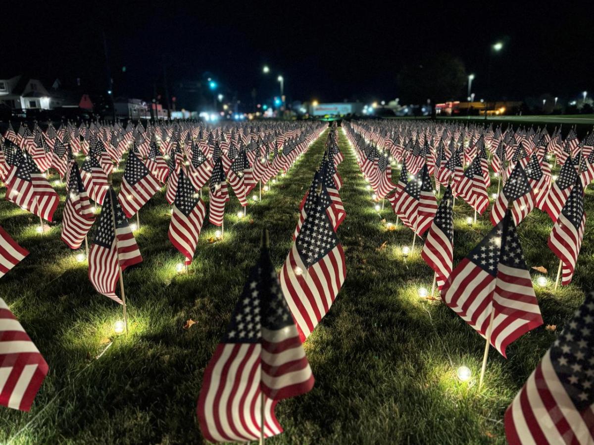 Field of Flags at night