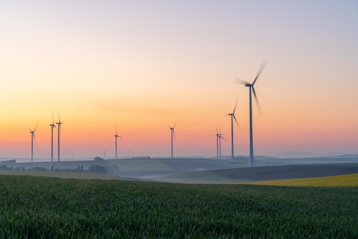 Wind turbines in a field with a sunset in the background
