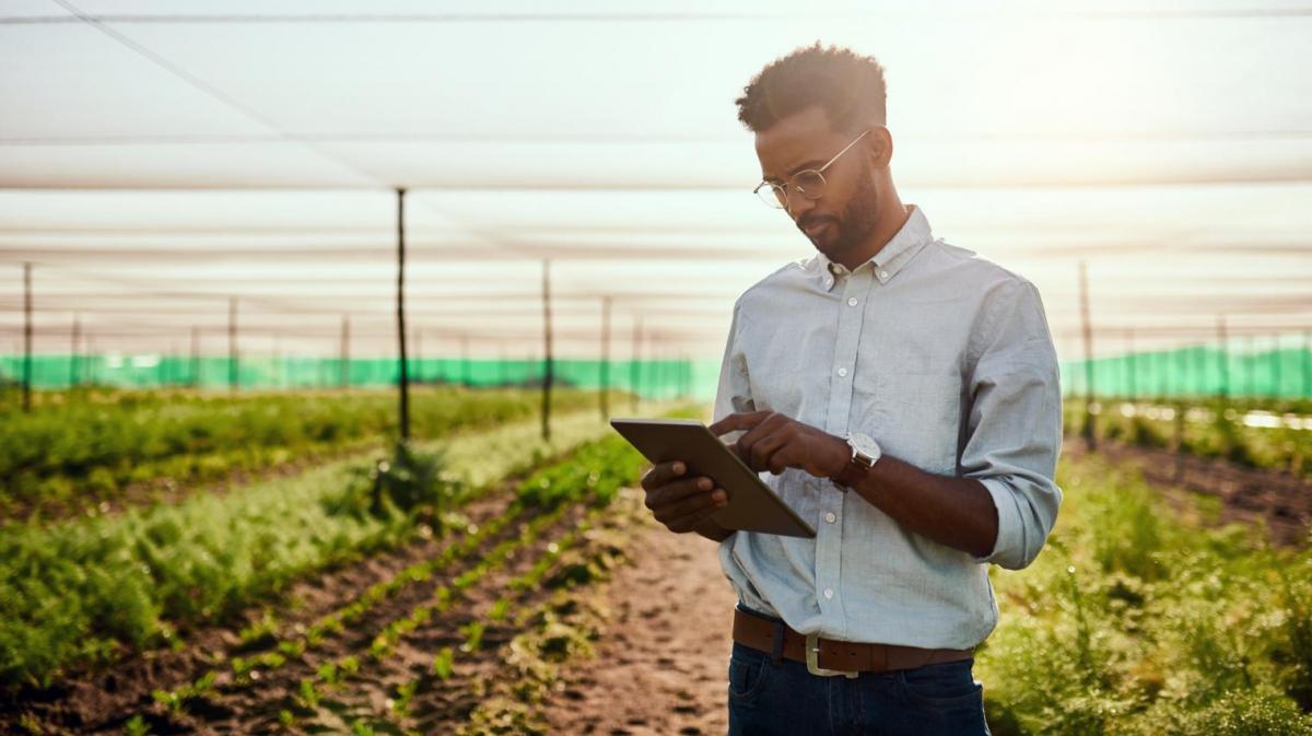 person looking at tablet in outside