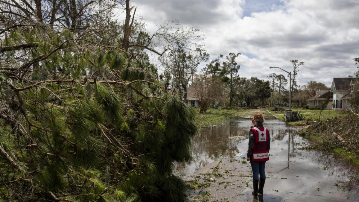 Red Cross worker stands among fallen trees on a flooded suburban street