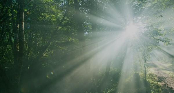 HP supports the move by the SEC to consider climate change disclosure rules as part of its integrated disclosure system.