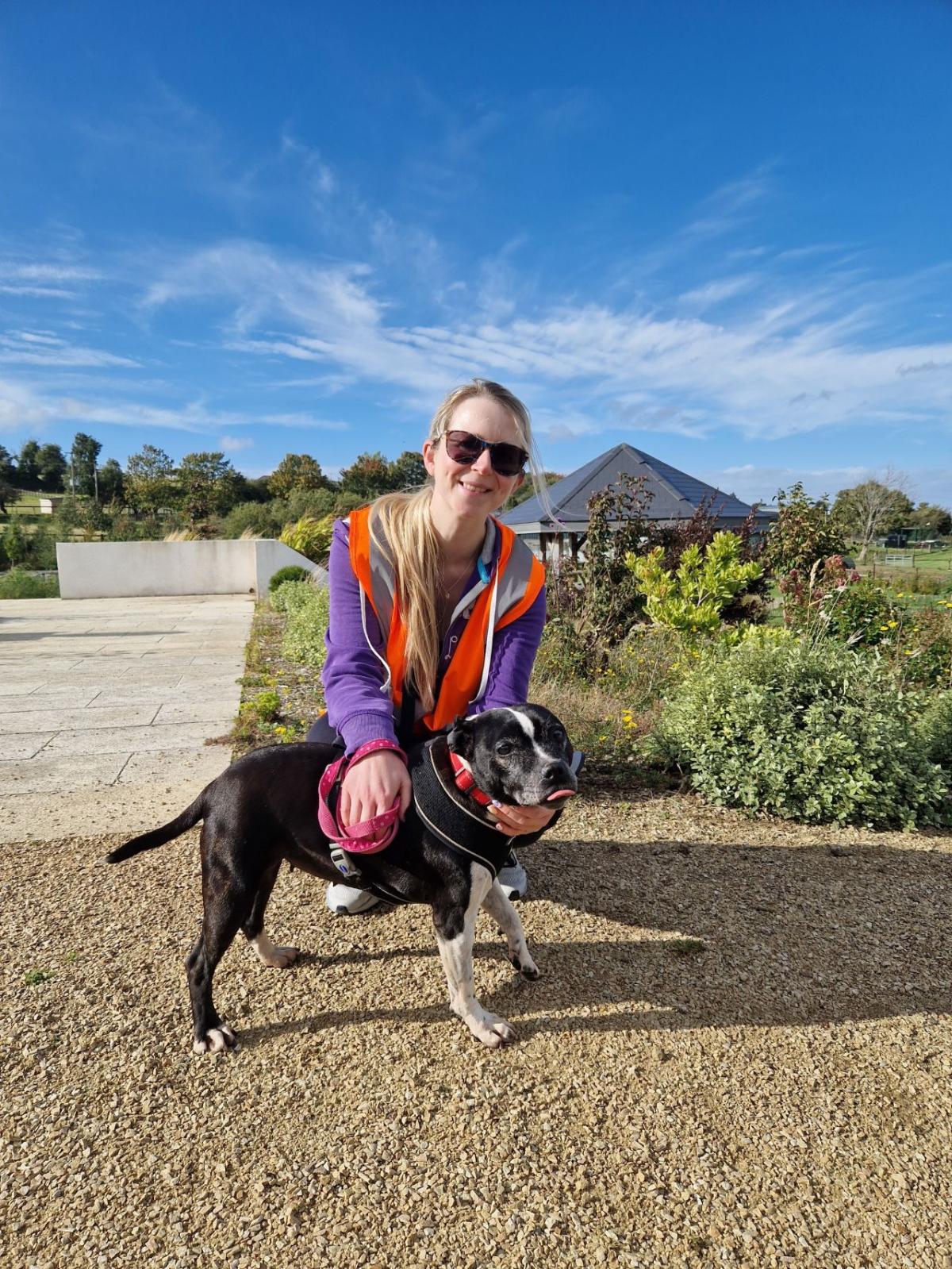 Volunteering at DSPCA