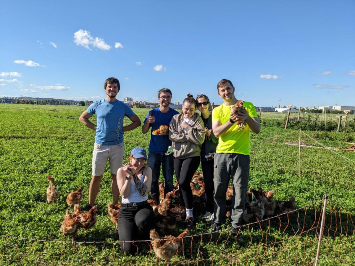 Volunteering at MetroFarm in Prague