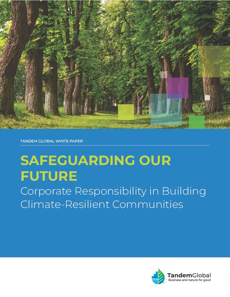  New White Paper from Tandem Global 