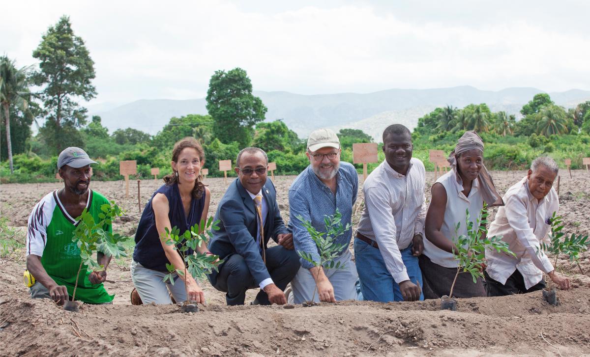The Smallholder Farmers Alliance (SFA) and partners plant cotton seeds to reintroduce cotton to Haiti after a 30-year hiatus. Tree seedlings, transplanted elsewhere after the ceremonial planting, symbolize the unique connection between trees and cotton in the SFA/Timberland agroforestry model. Pictured (left to right): Thony Thomas, smallholder farmer; Atlanta McIlwraith, Timberland; Pierre Marie Du Mény, Haitian Minister of Commerce and Industry; Hugh Locke, SFA; Timote Georges, SFA; Nerlande Dautarn, smallholder farmer; Rémillot Léveillé, agronomist who is known as the “father of cotton” in Haiti. Photo credit: SFA/Thomas Noreille.