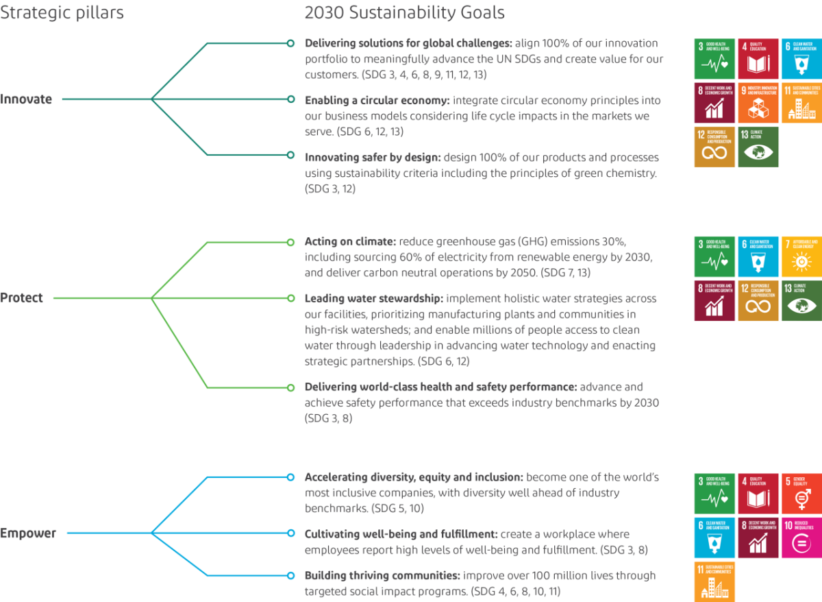 DuPont Strategic Pillars infographic 