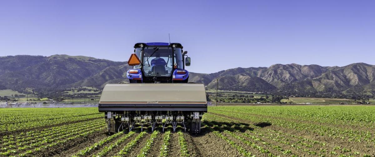 A tractor in a crop field