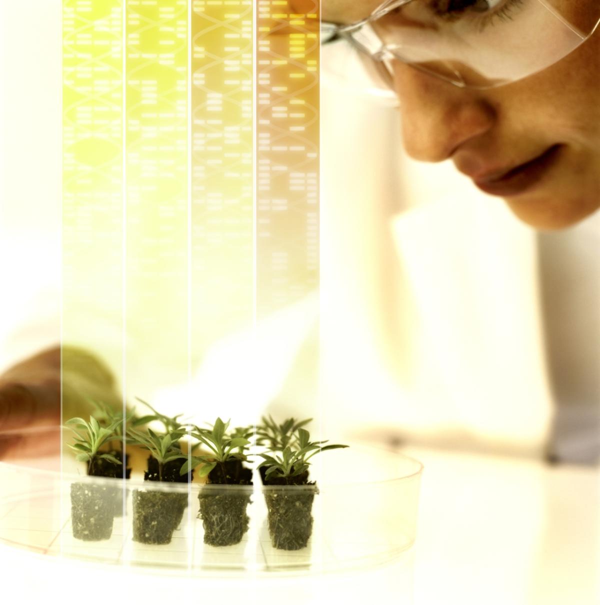 Applications open to Bayer’s new Testing4Ag program designed to help researchers discover sustainable solutions to some of agriculture’s biggest crop protection challenges. Bayer photo of plants