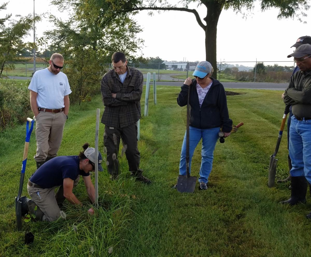 CNH Industrial employees planting trees