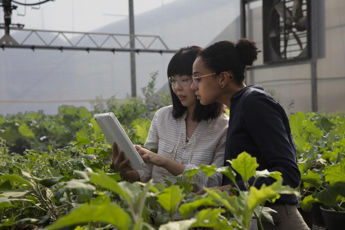 two people looking at a tablet in a greenhouse