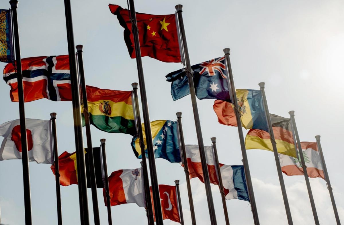 United nations flags