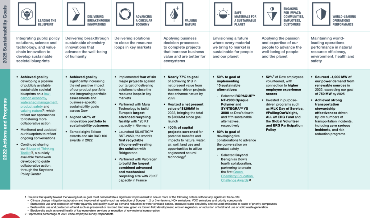 Table showing 2025 Sustainability Goals and 2022 Actions and Progress