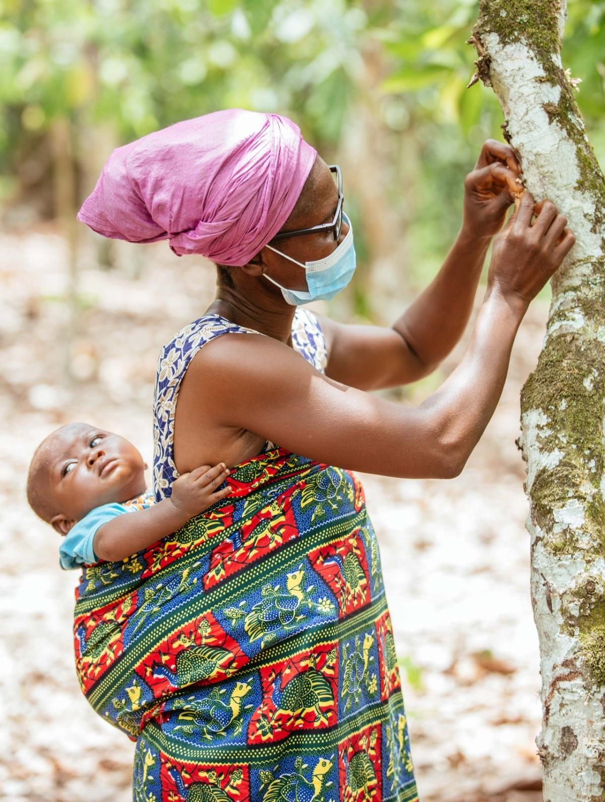 Cocoa farmer Regina Quayson (50) hand-pollinating a tree wearing VisionSpring eyeglasses. Hand-pollination is not possible without clear vision, and it increases yield by 110%. Cocoa farmer Regina Quayson (50) hand-pollinating a tree wearing VisionSpring eyeglasses. Hand-pollination is not possible without clear vision, and it increases yield by 110%.