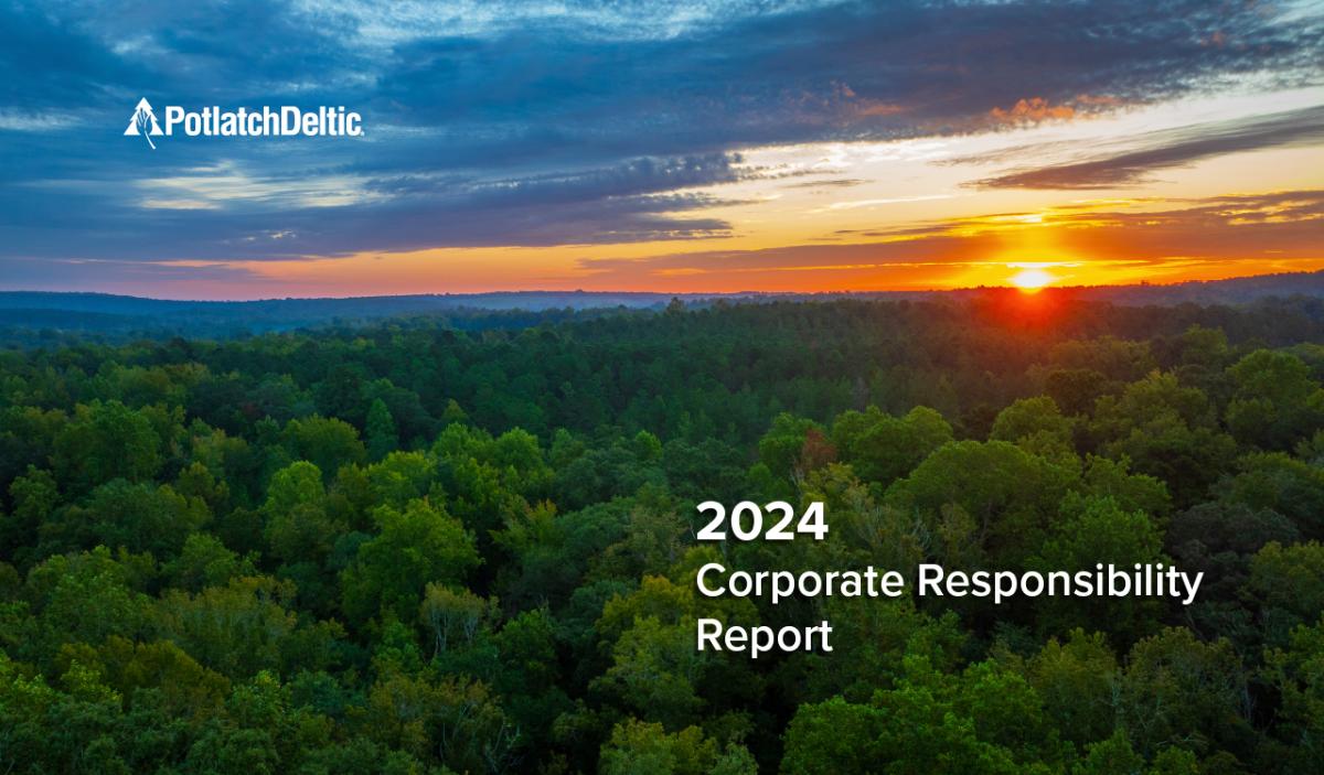 2024 Corporate Sustainability Report cover with image of forest