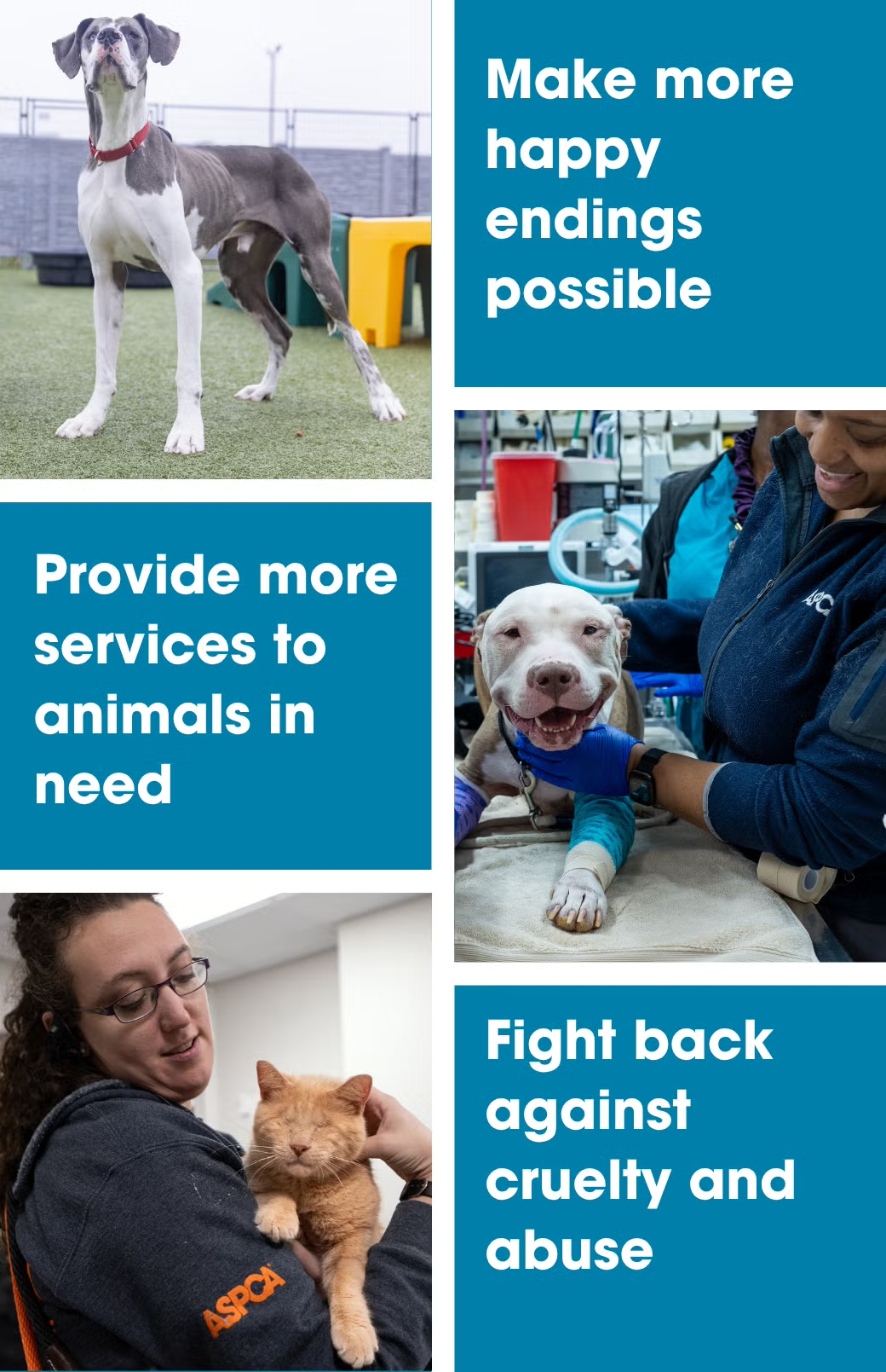 Collage of pets and ASPCA associates