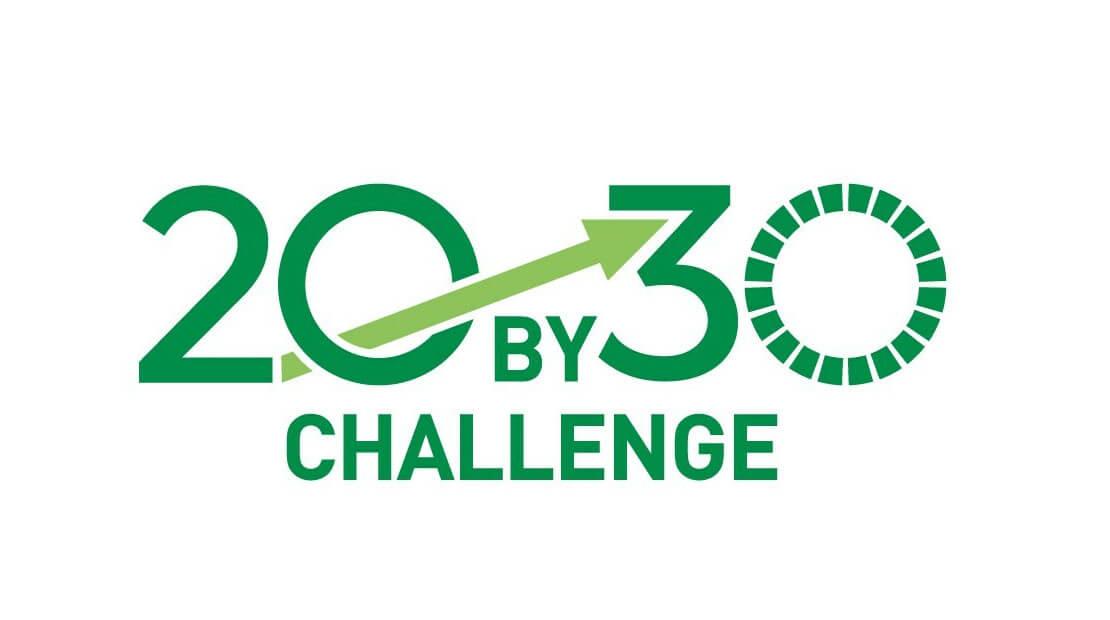 20 By 30 Challenge in green letters.