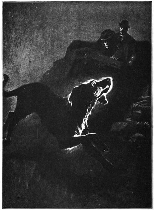 The Hound of the Baskervilles Sidney Paget 1892 Photographic reproduction of ink or watercolor on paper Illustration for Arthur Conan Doyle's “The Hound of the Baskervilles,” p. 424 (full-page illustration) Formatting by George P. Landow, Internet Archive, http://www.victorianweb.org/art/illustration/pagets/249.html