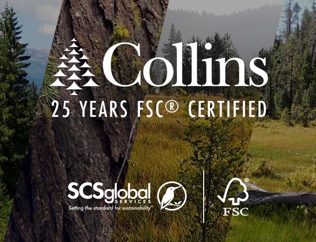 Responsible Forestry Trailblazer, Collins, Celebrates 25 Years of FSC Certification