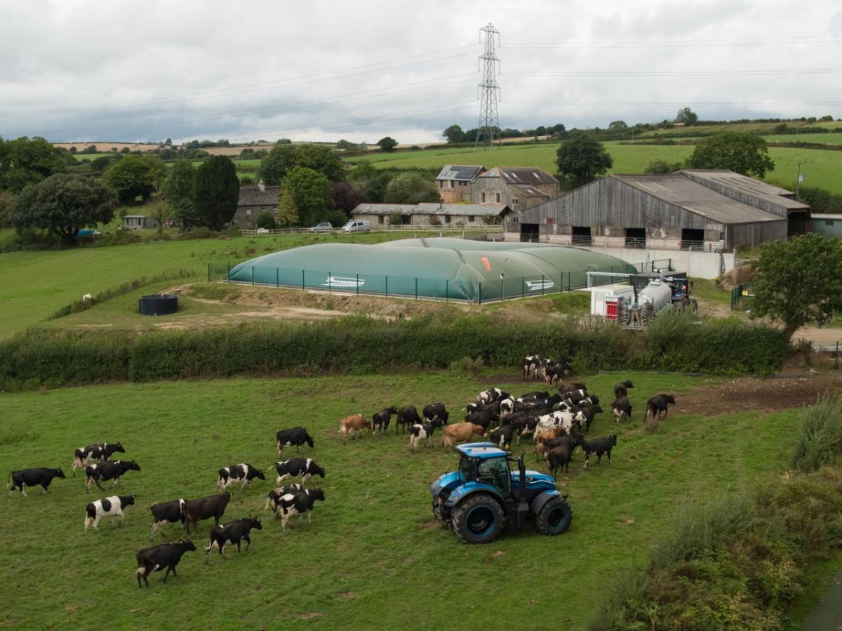 view of farm