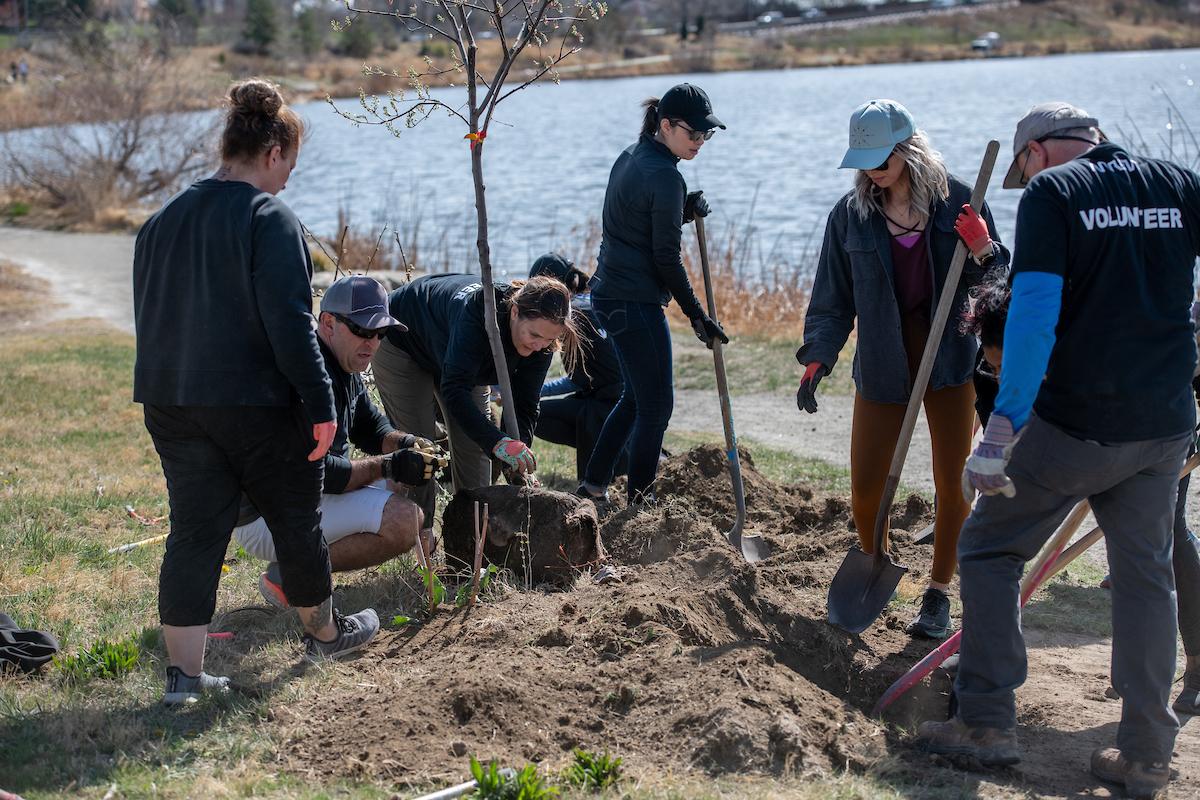 Arrow employees working together while planting trees on Earth Day 