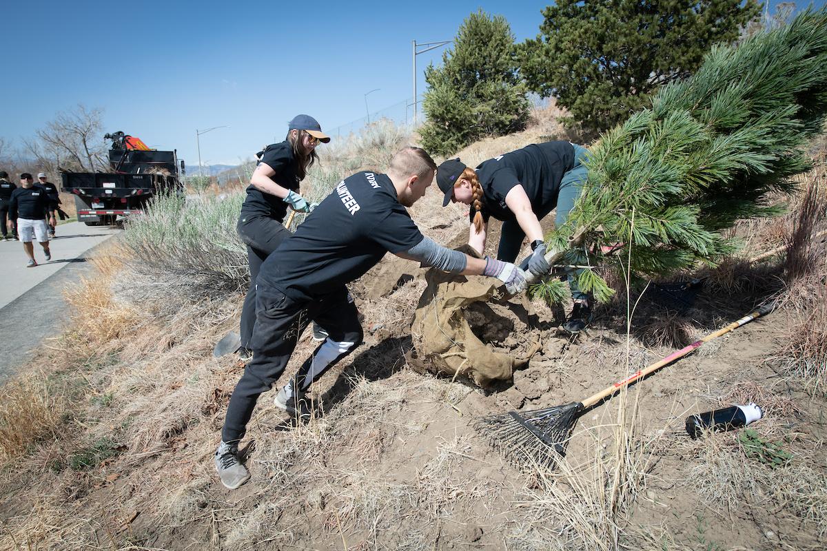 Arrow employees planting trees on Earth Day 