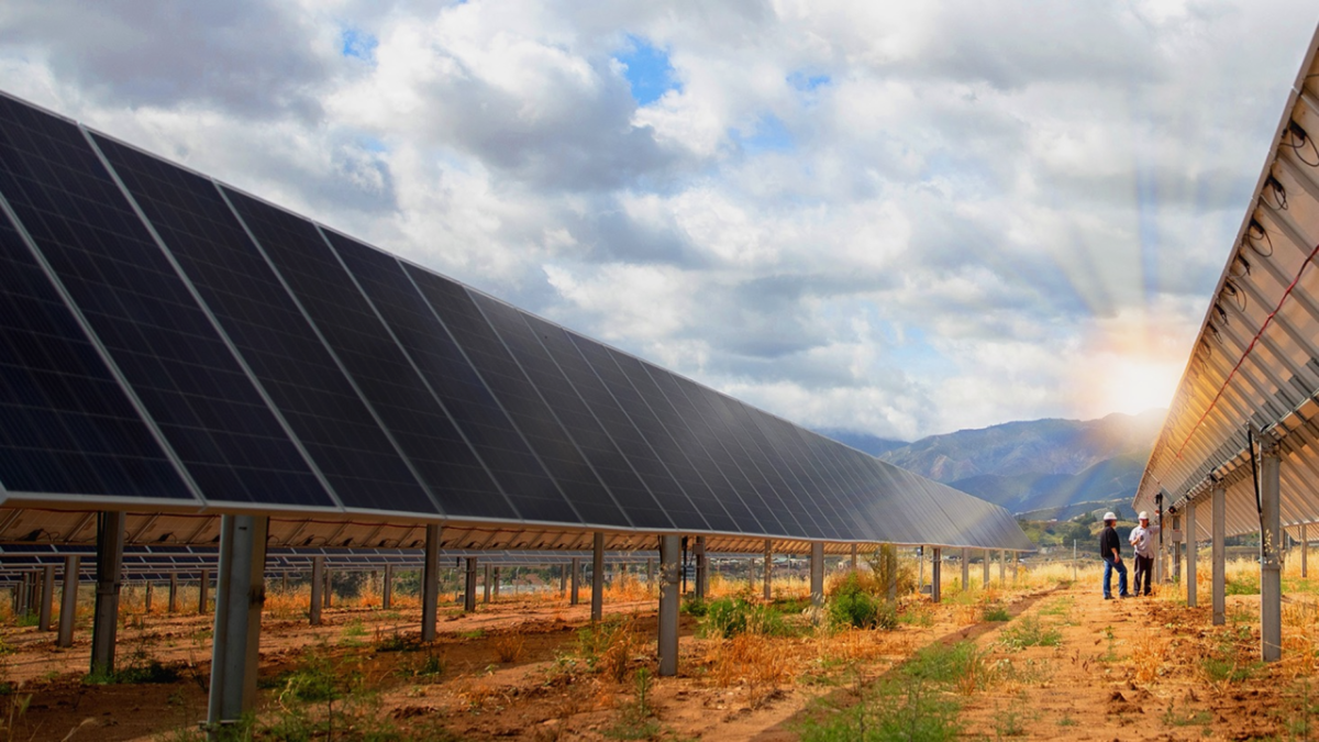 Solar panel array shown in a field.