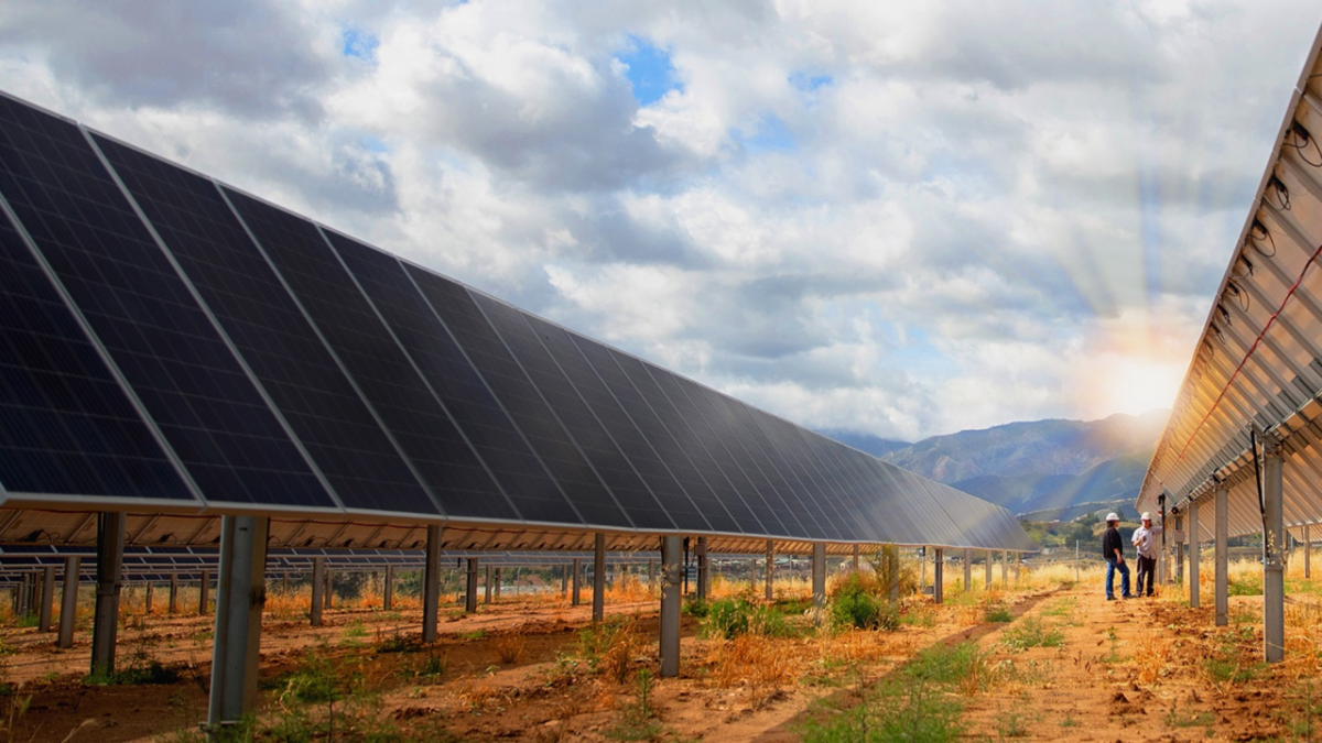 Solar panel array shown in a field. 