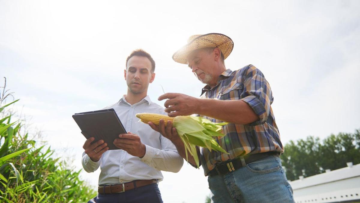 two people with a clipboard and an ear of corn