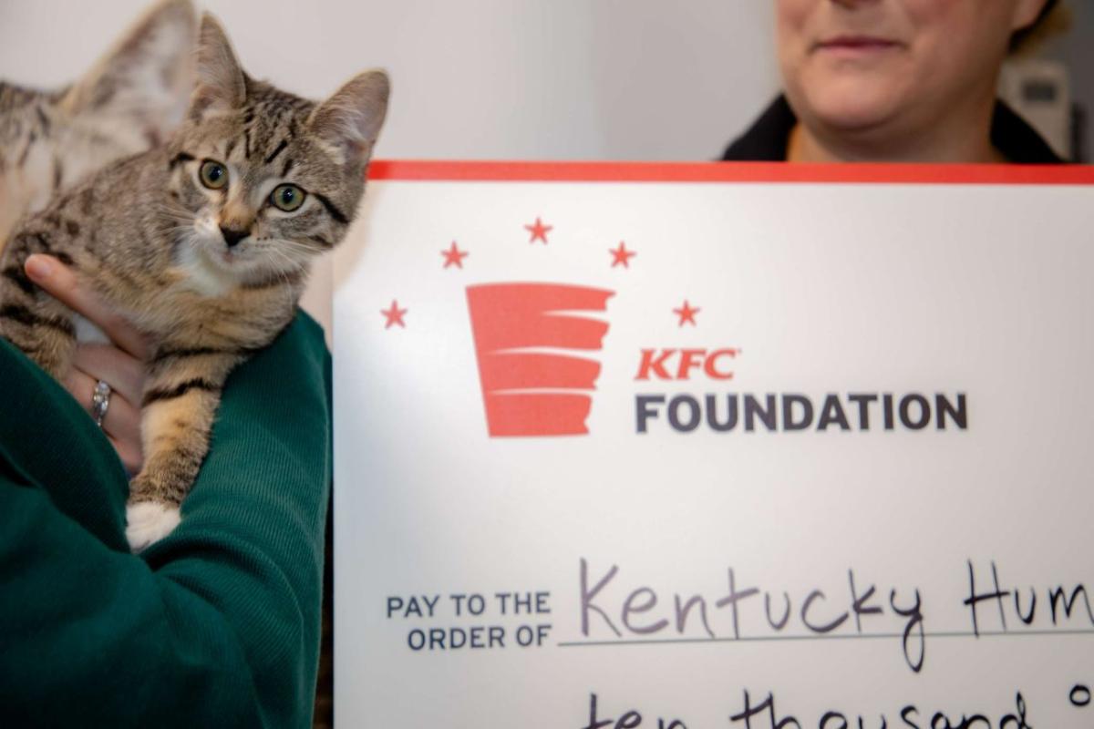 A cat being held by someone, next to an oversized check