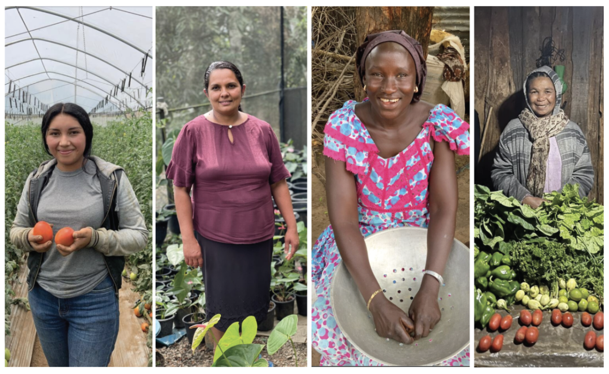 Collage of four people in agricultural settings.