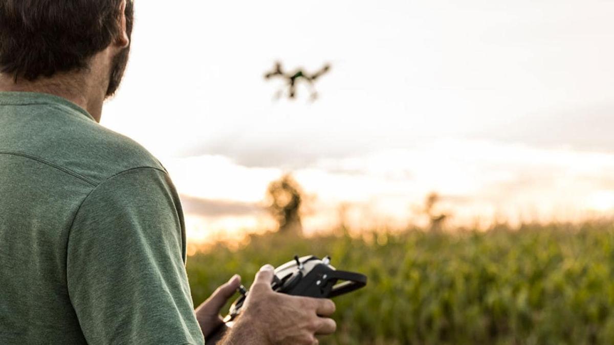 Person flying a drone over a field