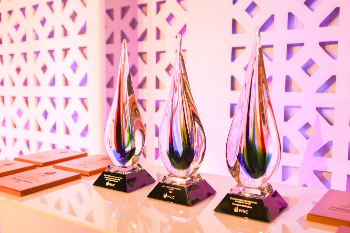 Three large glass awards