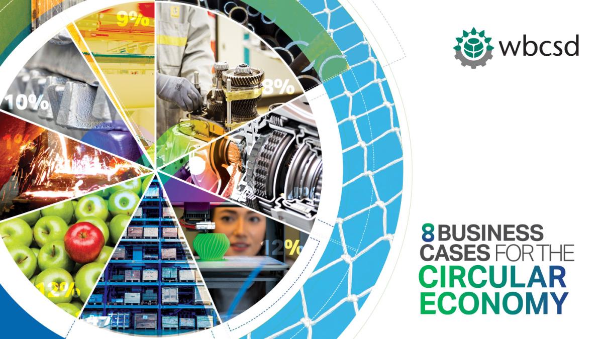 circular economy case study pdf