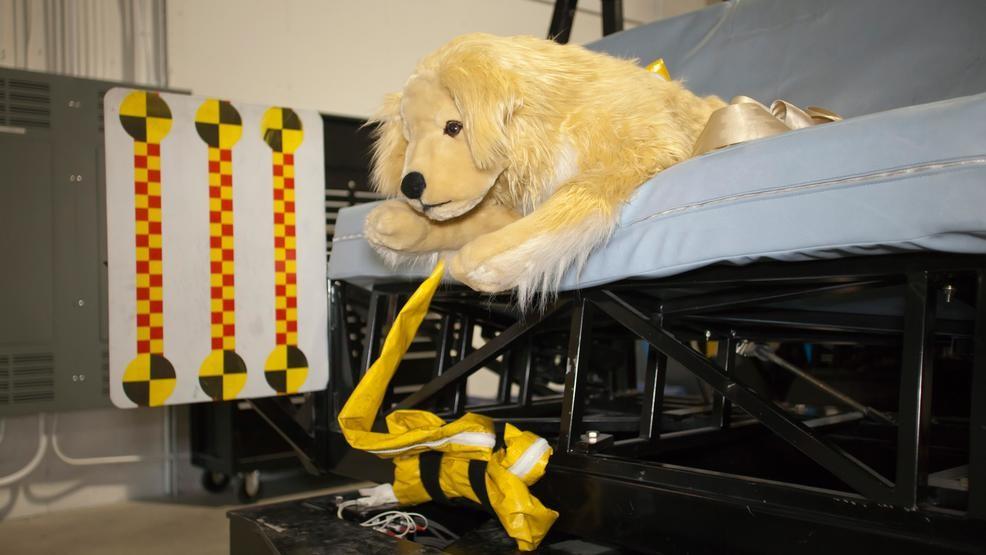 Subaru and the Center for Pet Safety conducted a collaborative crash test study to test the effectiveness of pet harnesses marketed with safety claims. (Image courtesy of Subaru and Center for Pet Safety). Image courtesy Fox17 website
