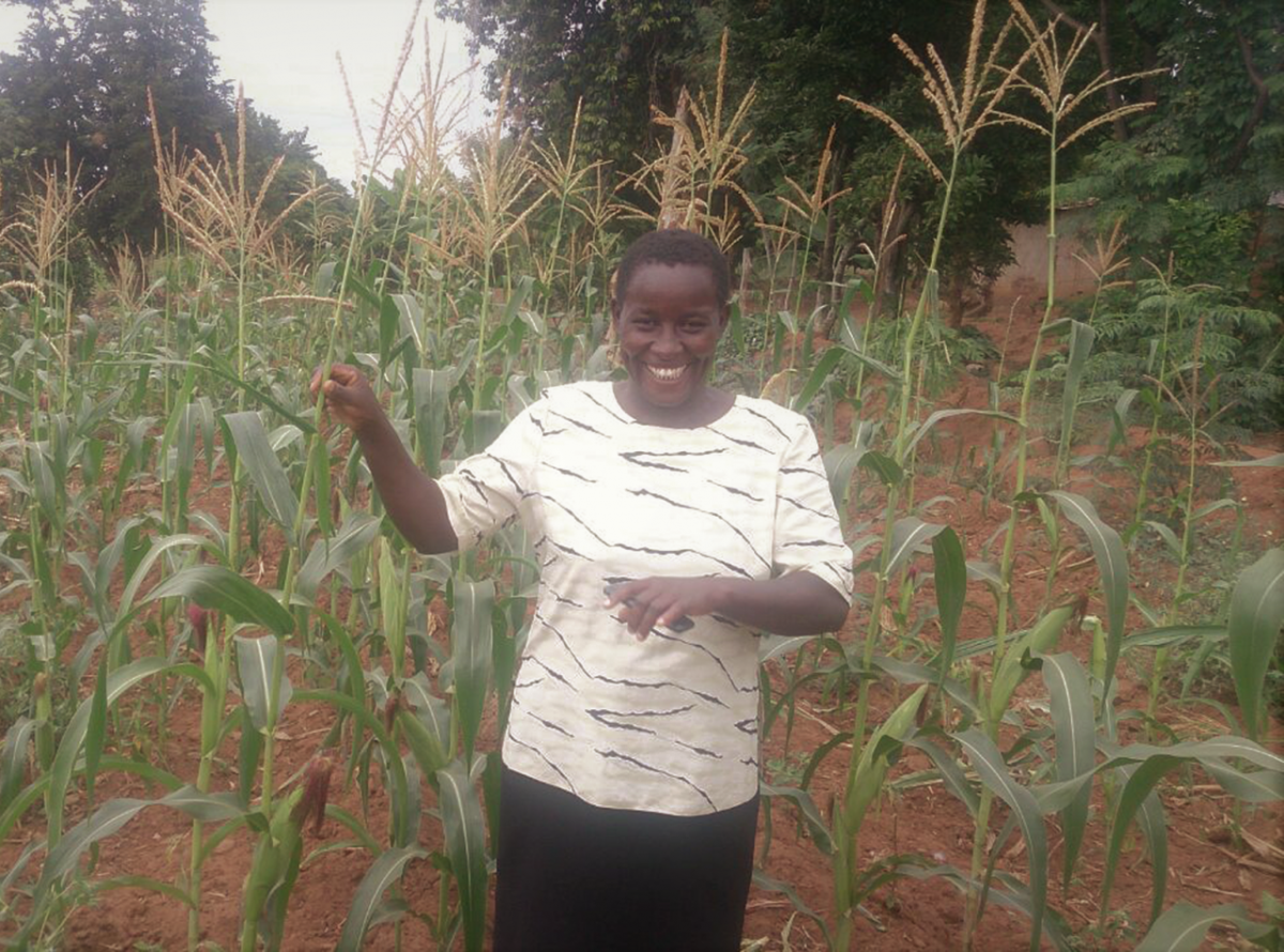 Jacinta Mutuse, a farmer from Wote, Makueni County, Kenya, received about KES 900 (USD 9) on her mobile phone as a payout through the Replanting Guarantee Maize Insurance Product from ACRE Africa.