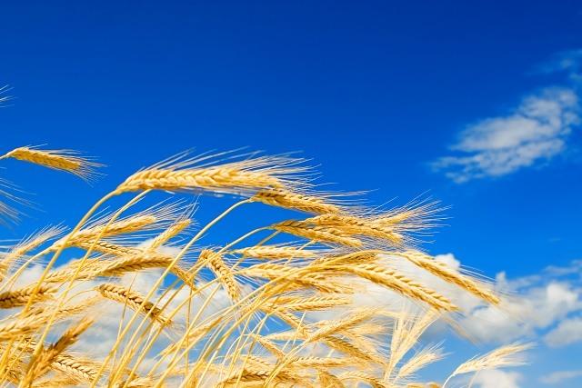 Managing Impacts to the Supply Chain