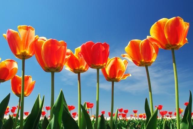 Spring Has Sprung: It’s Time to Refresh EHS In Your Workplace