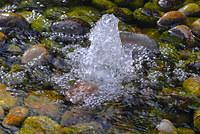 Advancing Water Security